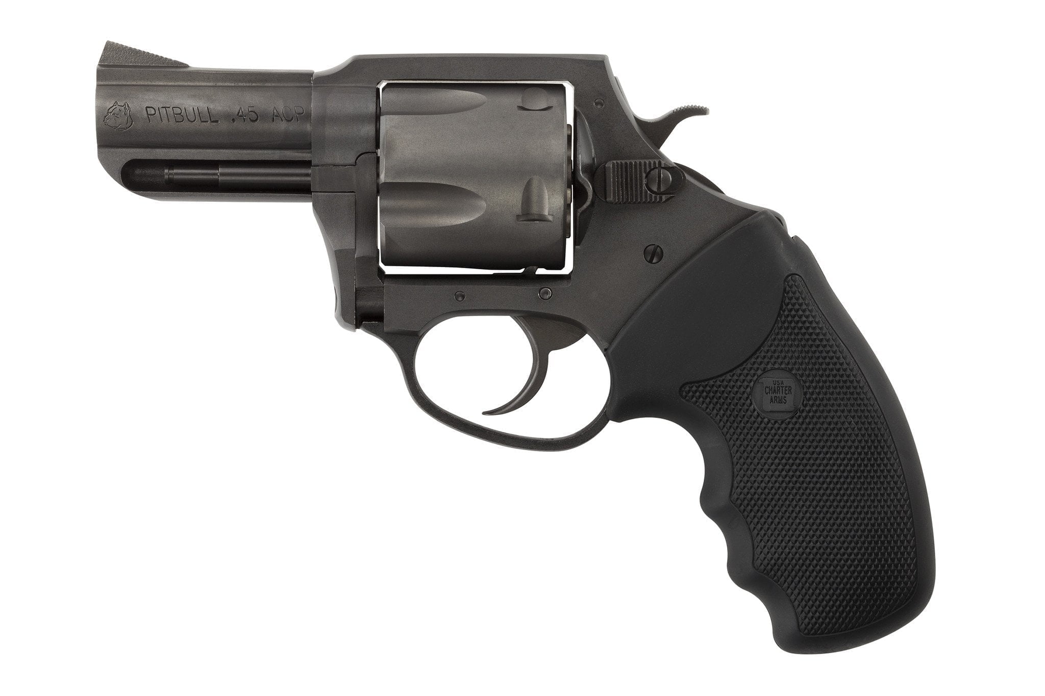 Charter Arms Pitbull