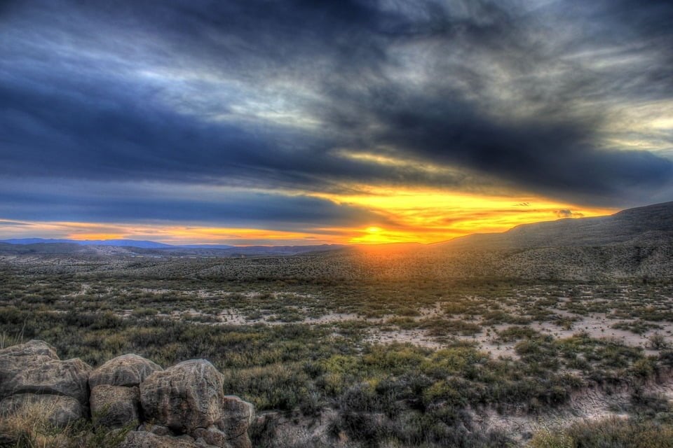 Texas Desert