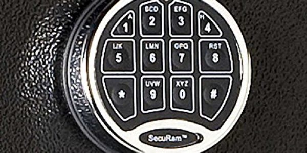 Electronic Keypad Entry for this gun safe