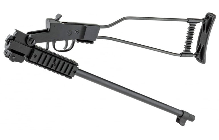 10 Best .22 LR Rifles (2026): Tested & Ranked 12 10 Best .22 LR Rifles (2026): Tested & Ranked 12