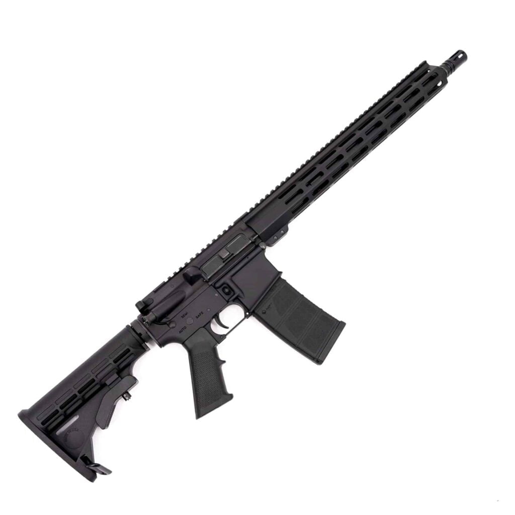 Best 300 Blackout Rifles