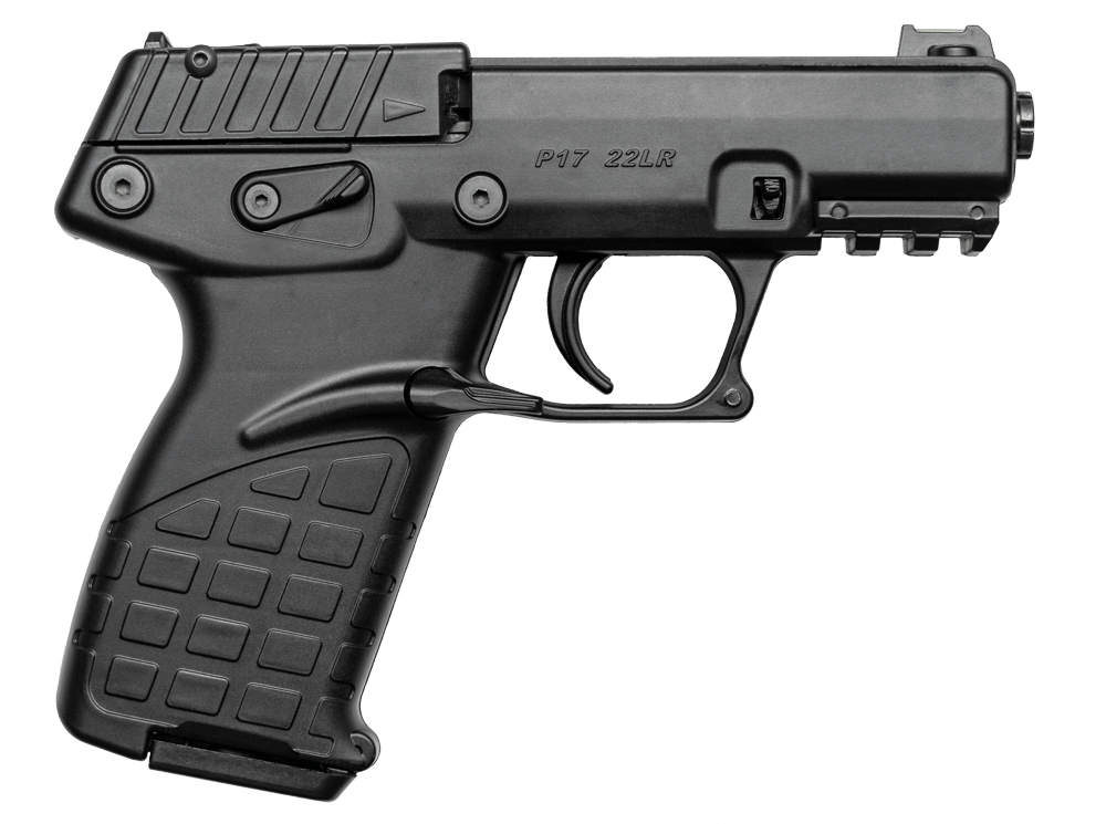Kel-Tec P17, a low budget 22LR plinking pistols.