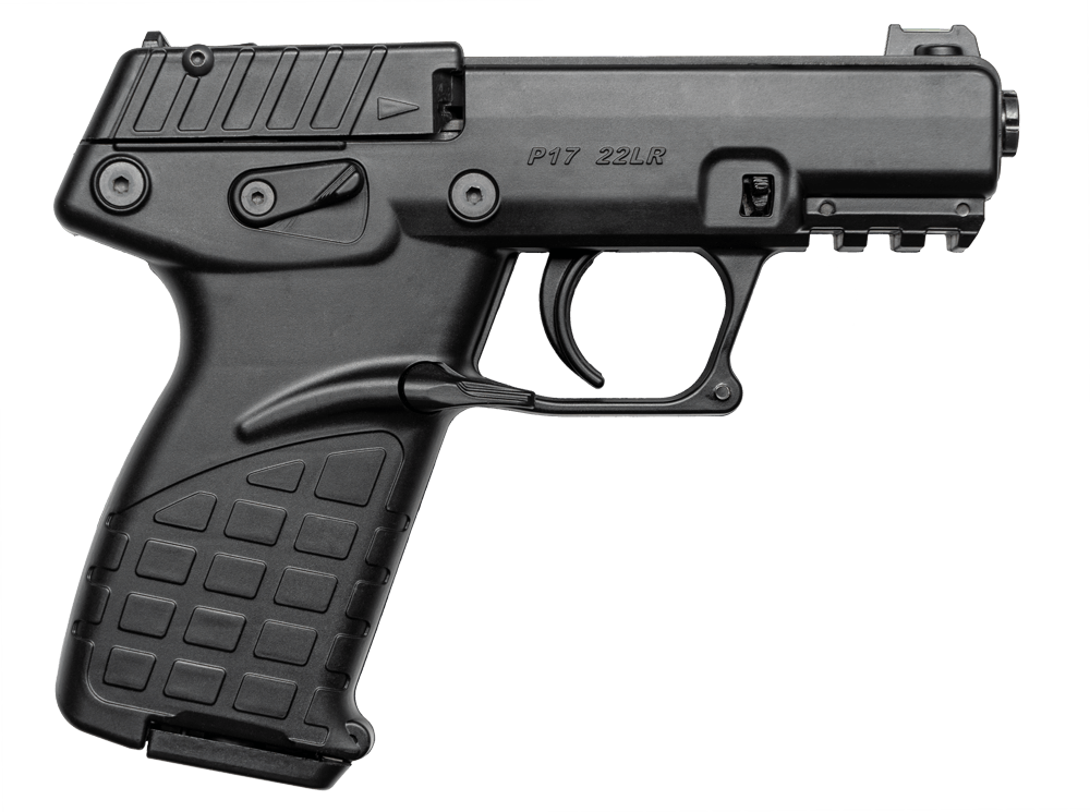 Kel-Tec P17, a low budget 22LR plinking pistols. 