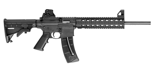 Smith & Wesson M&P 15 22