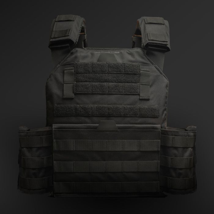 Best Body Armor for Home Defense (2026): Plates, Carriers and Soft Armor 15 AR500 Armor Testudo Gen 2 plate carrier in black with MOLLE webbing