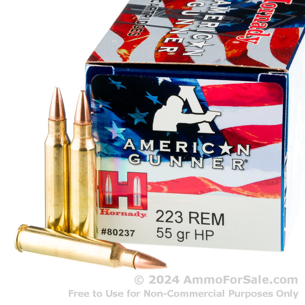 Bushmaster ACR Enhanced AR15 3 Lucky Gunner 223 Ammunition