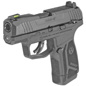 Ruger Max-9 Review (2026): The Micro-9 Value King, Tested 3 Ruger Max-9 (manual safety)