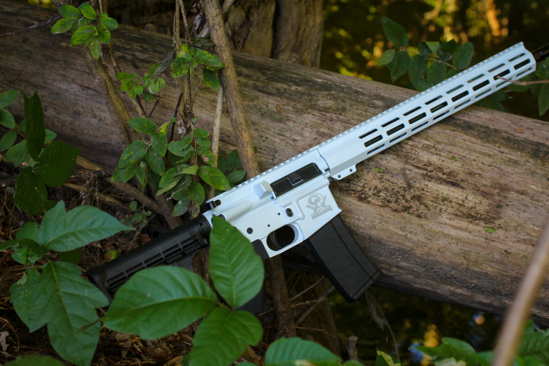 Bushmaster XM-15 E2S chambered in 450 Bushmaster AR-15 hunting rifle