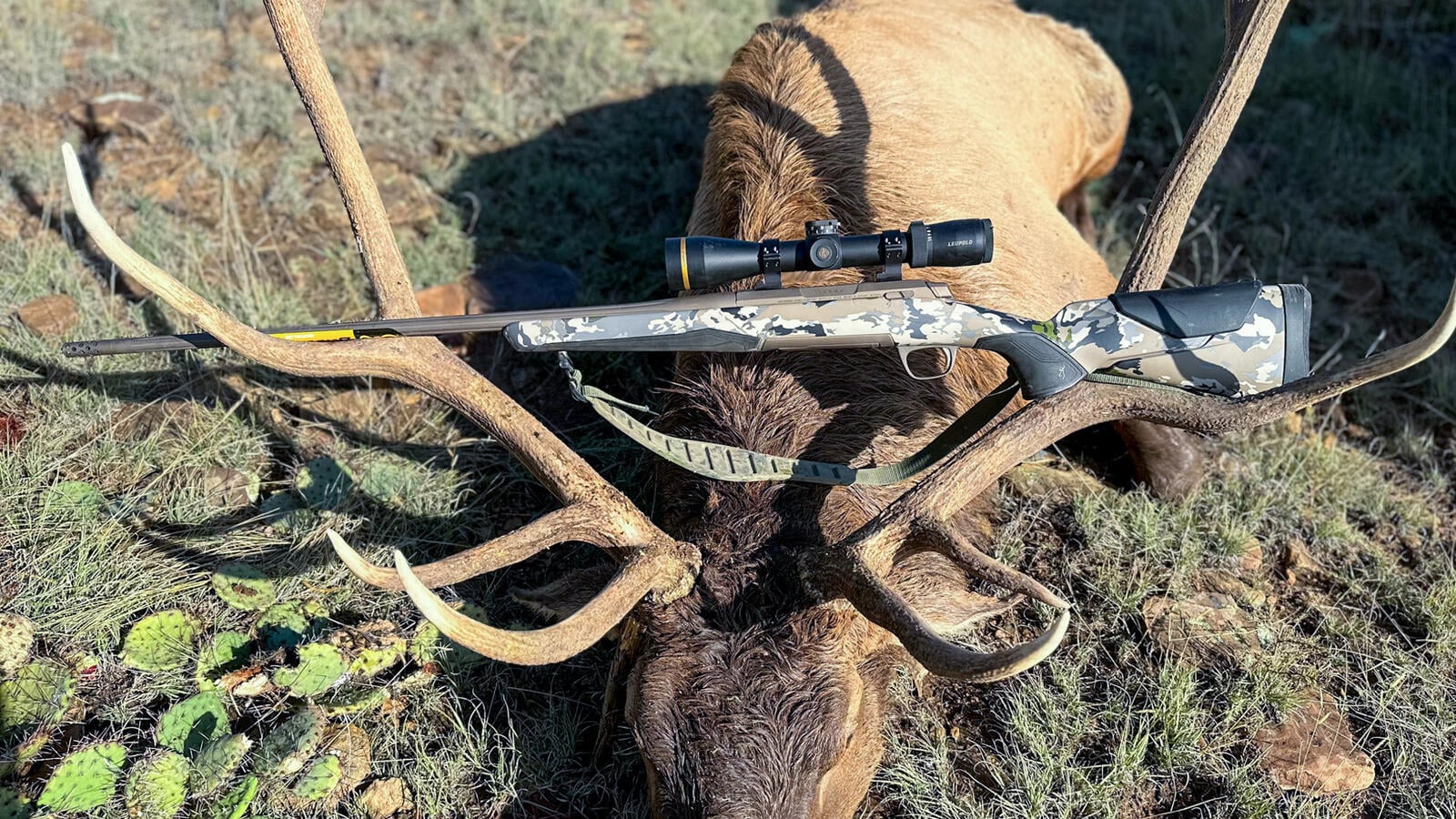 9 Best Elk Rifles (2026): Backcountry Magnums to Budget Bolt Guns Tested 23 Browning X-Bolt 2 Speed 6.5 PRC for elk hunting