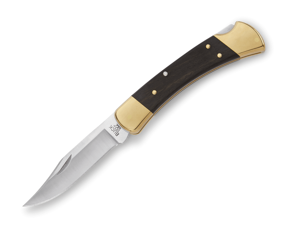8 Best Hunting Knives (2026): Fixed Blade, Folding & Replaceable Tested 22 Buck 110 Folding Hunter hunting knife