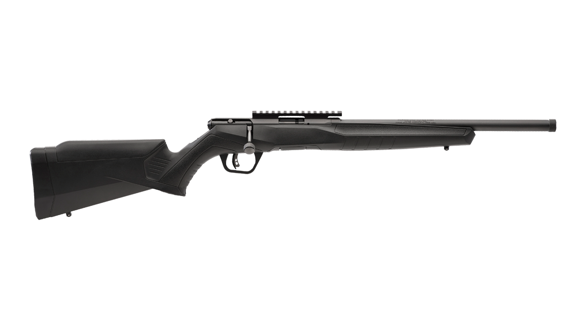 9 Best .17 HMR Rifles for 2026 (Bolt, Semi + Lever) 22 Savage B17 FV-SR 17 HMR threaded suppressor-ready bolt action rifle