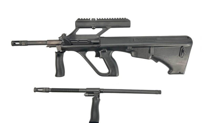 Steyr AUG A3 M1 Review (2026): 500 Round Test of the OG