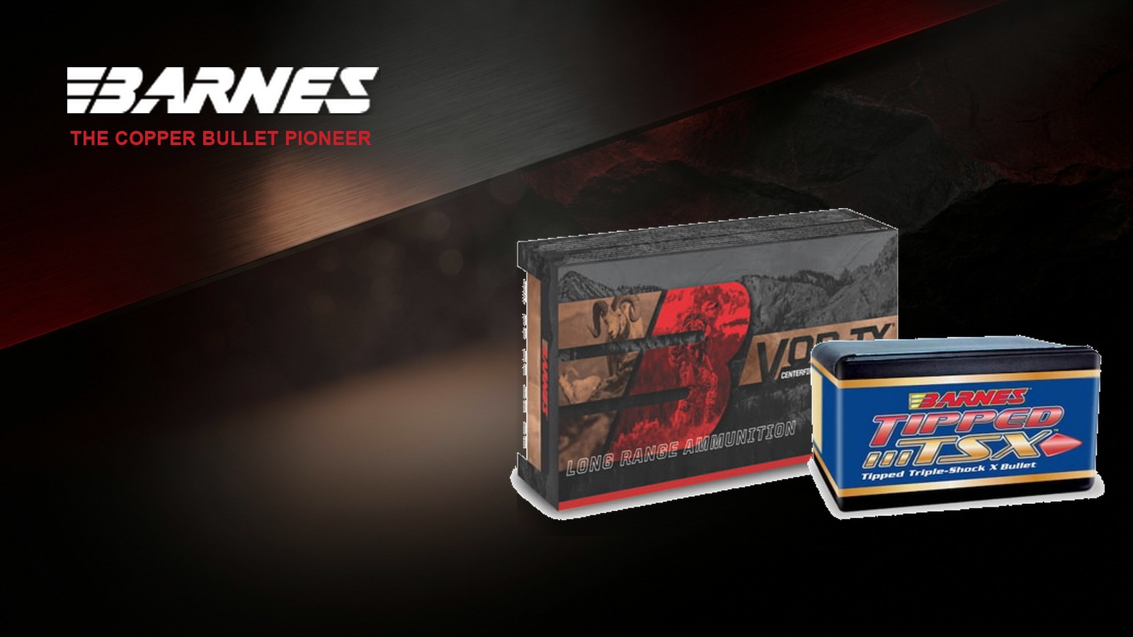 Barnes Ammunition