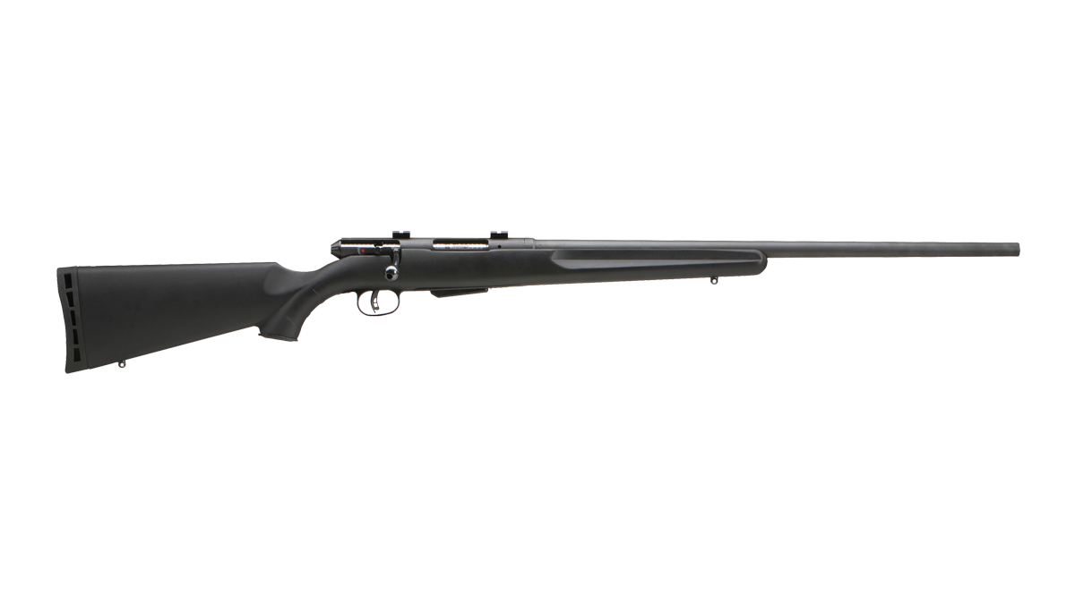 3 Best .22 Hornet Rifles in 2026 (Tested and Ranked) 2 Savage 25 Walking Varminter .22 Hornet bolt-action rifle with black synthetic stock