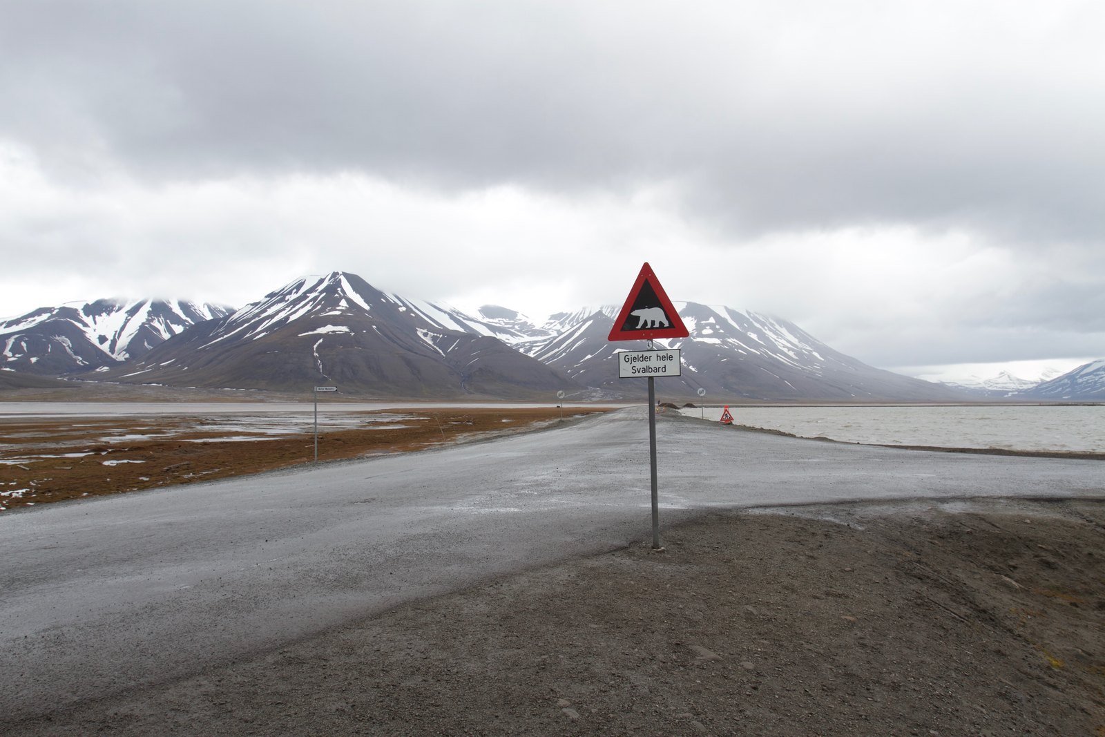 Guns in Extreme Places: From Space to the Deep Sea 6 A polar-bear warning sign on a road in Svalbard, where a rifle is required outside town