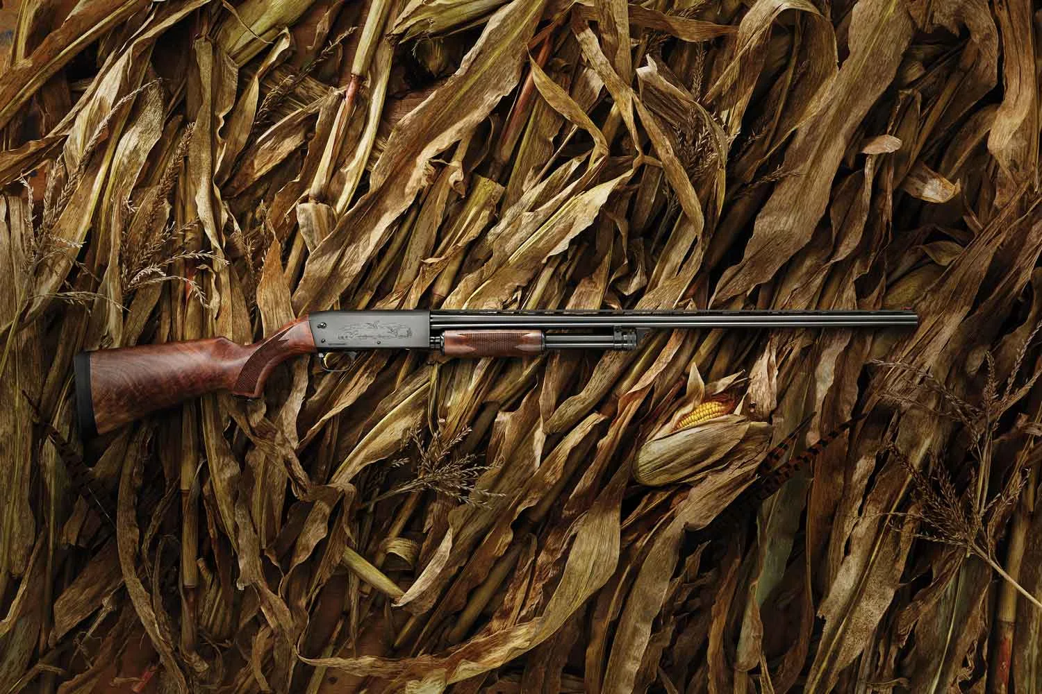 Ithaca Model 37 Featherlight shotgun lying on dry corn stalks