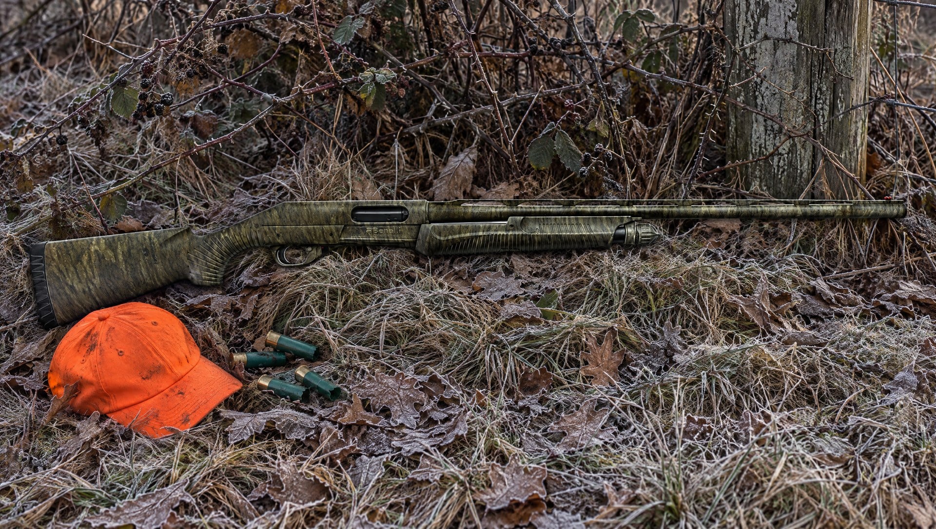 Benelli Nova 20 gauge pump shotgun in Mossy Oak Bottomland lying in frosty grass at the edge of a briar patch beside a blaze orange cap