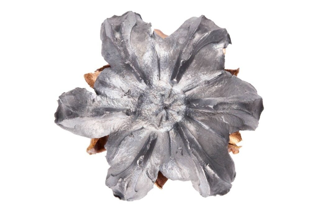 Federal photo of an expanded HST Micro 380 Auto 99 grain bullet recovered from bare gelatin