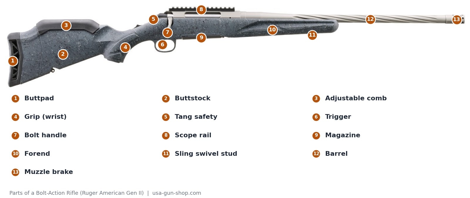 Numbered diagram of the parts of a bolt-action rifle on a Ruger American Gen II