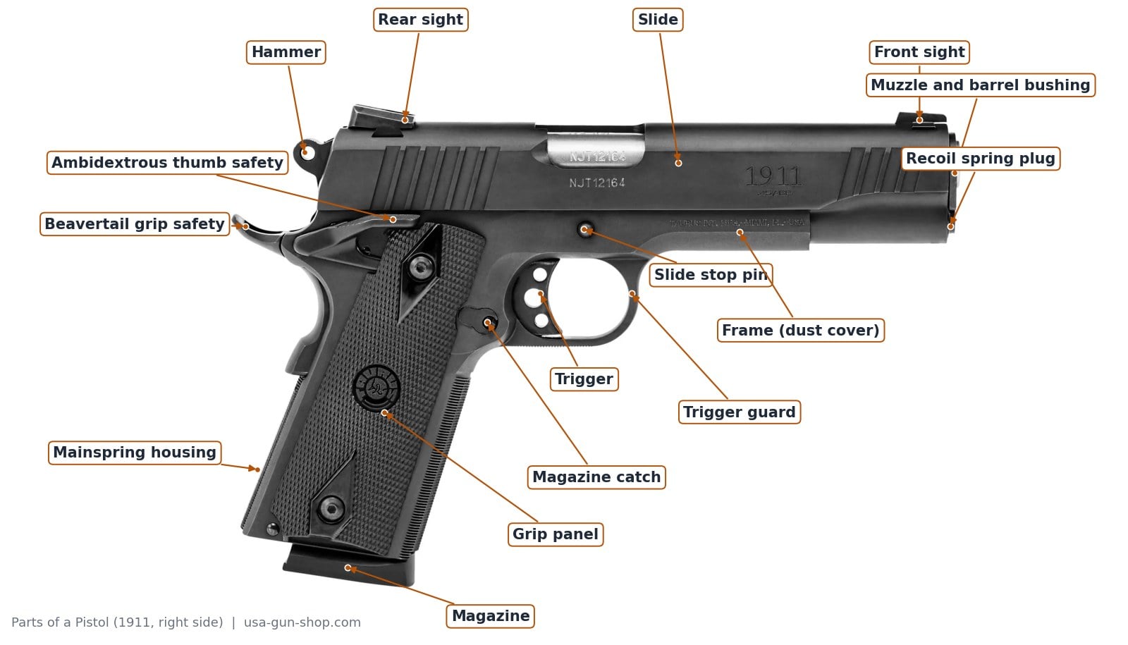 Labeled diagram of the parts of a pistol on a 1911: hammer, slide, sights, thumb safety, grip safety, trigger, magazine catch and more
