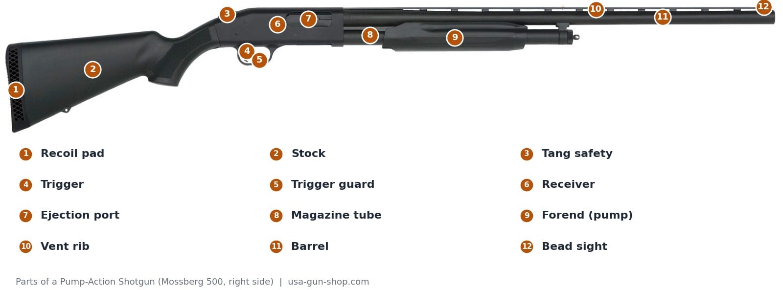 Numbered diagram of the parts of a pump-action shotgun on a Mossberg 500