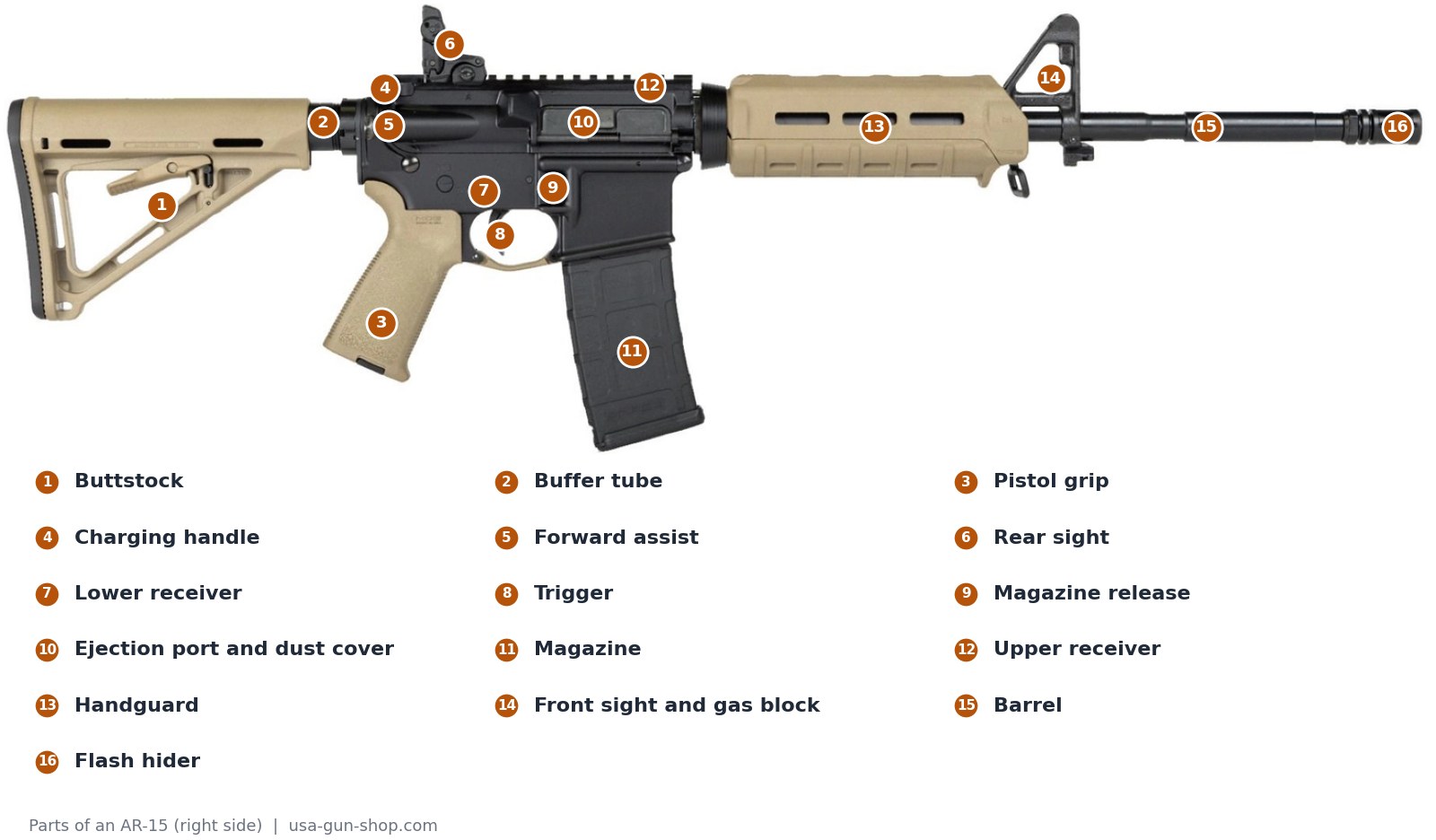 Numbered diagram of the parts of an AR-15 rifle: upper and lower receiver, charging handle, forward assist, handguard, barrel and more
