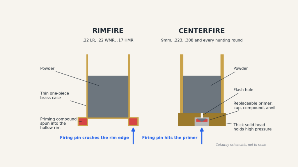 Cutaway diagram comparing a rimfire cartridge, with priming compound inside the hollow rim, to a centerfire cartridge with a primer, anvil and flash hole in a solid case head