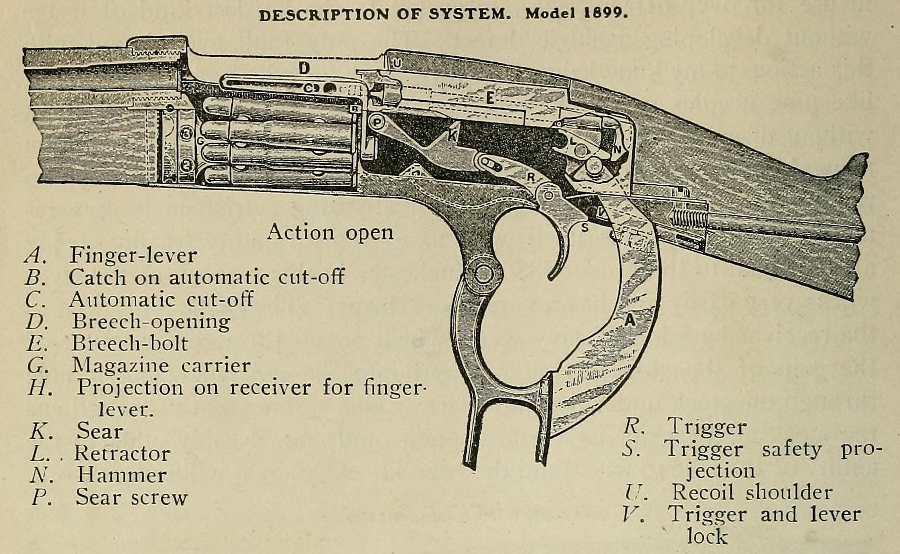 Cutaway drawing of a Savage Model 1899 action, showing cartridges held in the rotary spool magazine