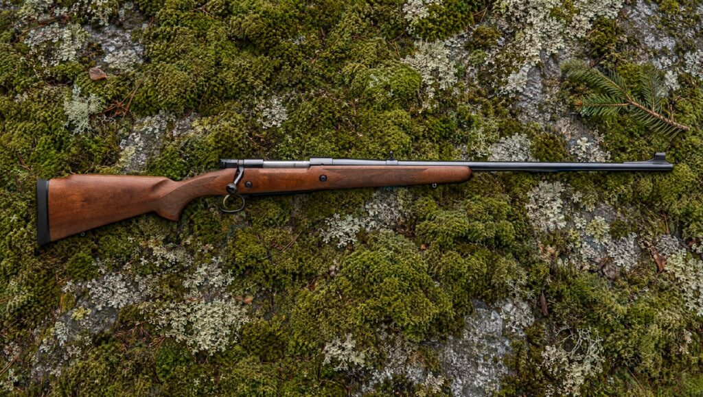 Winchester Model 70 Alaskan with Monte Carlo walnut stock, folding rear sight and hooded front sight lying flat on moss