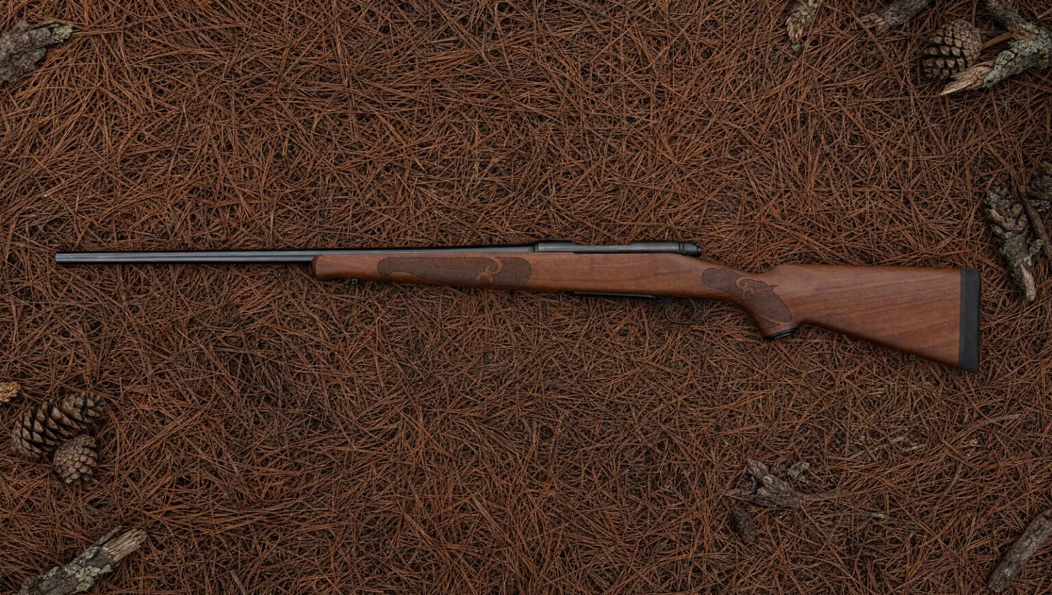 Types of Rifles (2026): Every Action and What It's For