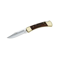 Buck Knives 110 Folding Hunter Knife