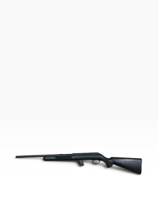 SAVAGE ARMS 62