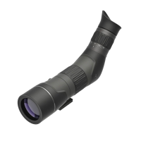 LEUPOLD SX-2 Alpine HD Gen 2 20-60x60mm Angled Spotting Scope (185683)