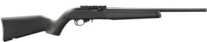 RUGER 10/22 CARBINE