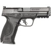 Smith & Wesson 13771 M&P9 M2.0 9mm (OR) 17rd Pistol, 4.25" Barrel, NTS, Black