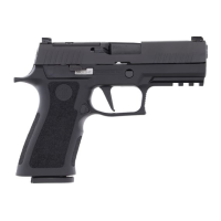 Sig Sauer P320 X-Carry 9mm 3.9" 17rd Striker Fired Optics Ready
