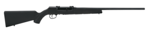 SAVAGE ARMS A22
