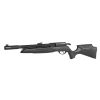 Gamo Arrow PCP .22 Caliber Rifle