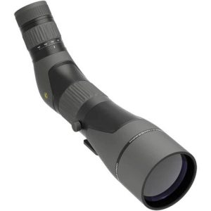 Leupold SX-2 Alpine HD Gen 2 20-60x80 Spotting Scope - Angled - Black