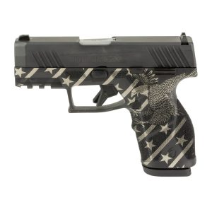 Taurus GX2 9mm 3.38" Bbl Blade Front/Adjustable Rear Sights TORO Black Eagle EN1 Pistol w/(2) 13rd Mags 1-GX2931-EN1
