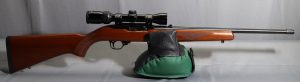 Ruger ~ 10/22 Carbine ~ .22 Long Rifle