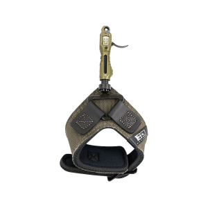B3 Rook Bow Release