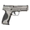 Smith & Wesson 14165 M&P9 M2.0 Metal 10rdTungsten Gray Cerakote