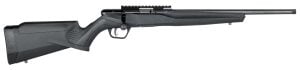 Savage Arms B17 FV-SR 17 HMR 16.10 Round Bolt Action Rimfire Rifle, Sporter - 70803
