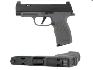 SIG SAUER P365 XL