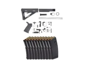AR-15 Buyer's Guide: How to Choose the Best AR-15 in 2026 102 PSA Magpul MOE Lower Build Kit & 10 Magpul PMAG Gen 2 MOE 5.56x45 30rd Magazines