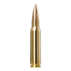 Norma Ammunition 36 Norma Golden Target Match .308 Win 168 gr BTHP 20rds Rifle Ammo for Target Accuracy - 10177432
