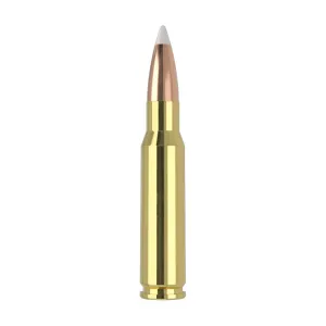 Nosler Trophy Grade TGA-308 Win 165g AB SP (20ct) Ammunition 60049