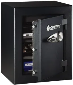 8 Best Fireproof Gun Safes (2026): Fire Ratings Tested and Ranked 28 Sentry Safes Pistol Fire Safe Electronic Lock 3 8