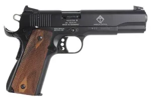 How to Choose Your First Handgun: Complete Buyer's Guide (2026) 21 ATI M1911 22LR Pistol